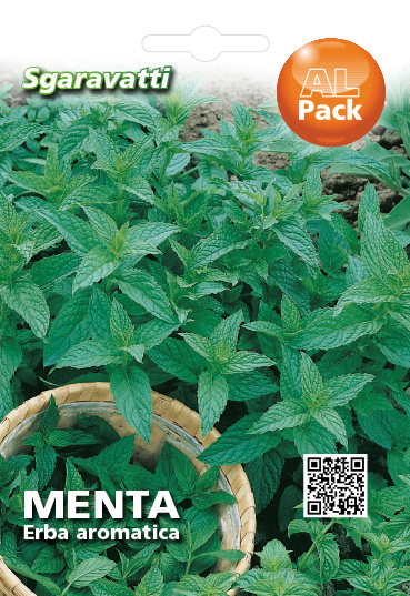 Sgaravatti Mint Seeds 6 g