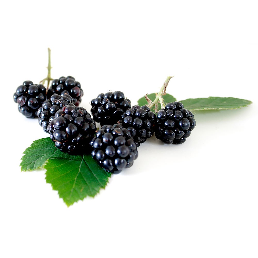 Blackberry Imported Box ~125 g