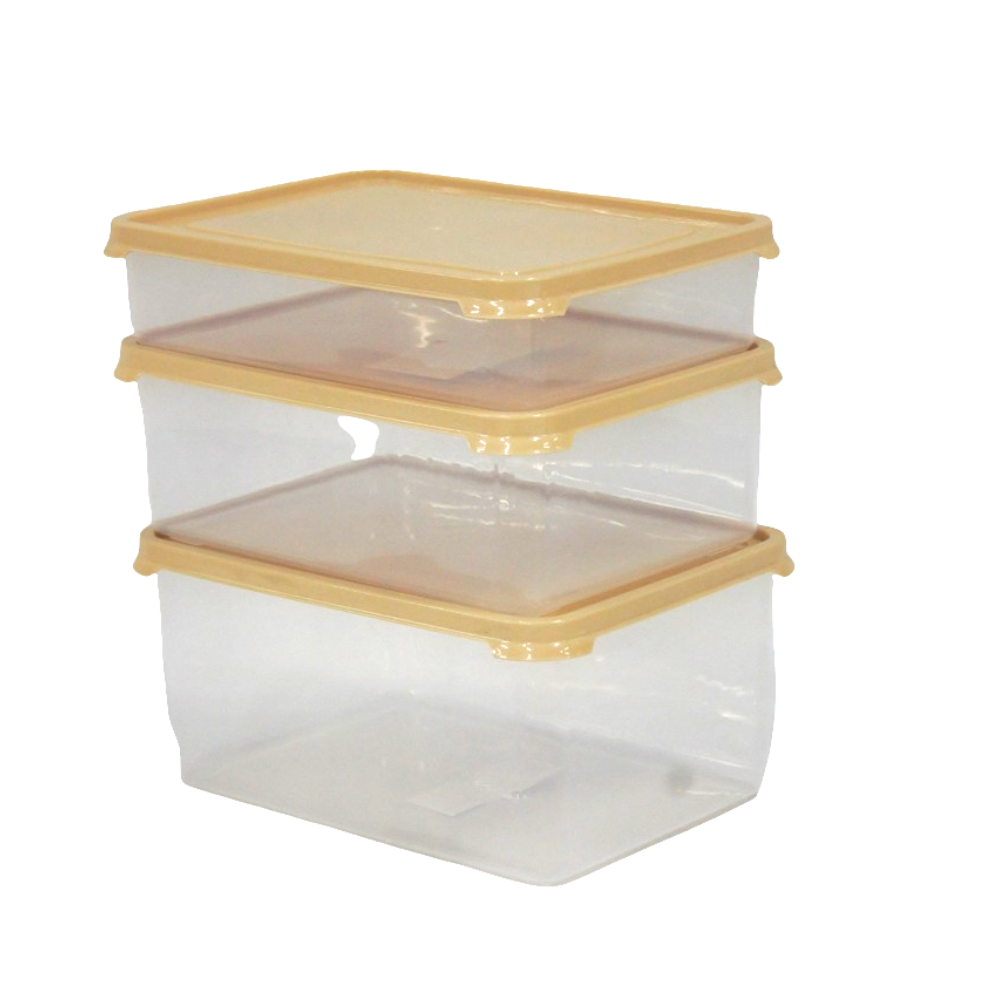 Frosty 3pcs - Tupperware Rectangular Beige