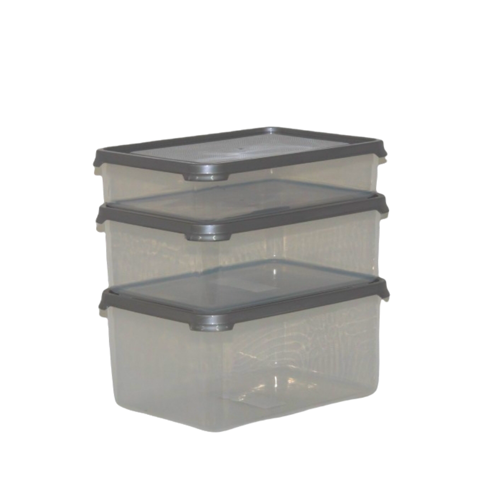 Frosty 3pcs - Tupperware Rectangular Silver