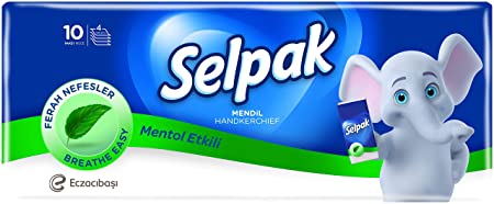 Selpak Hanky Menthol Pocket 10's