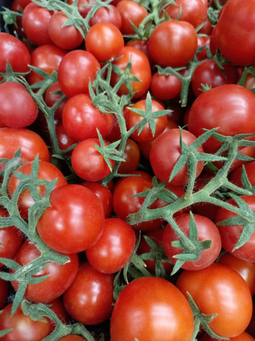 Tomato Maala2a 0.5 kg
