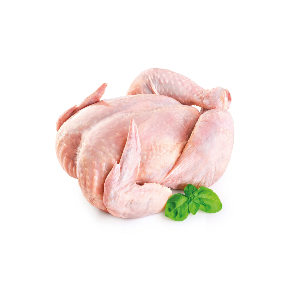 Urban Whole Chicken ~ 1.6 KG