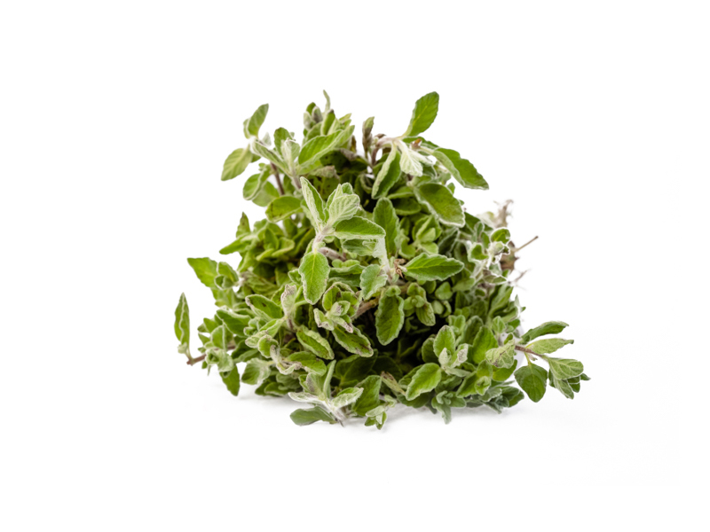 Thyme Zobaee Bunch 1 Pc