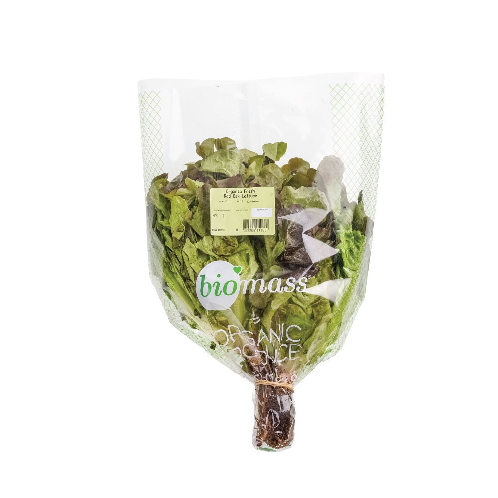 Oakleaf Green Bunch 1 Pc