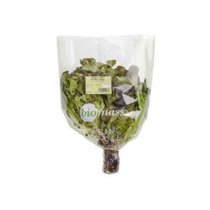 Oakleaf Red Bunch 1 Pc