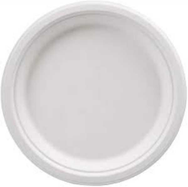 Plastic Plate 19 cm Small 25's