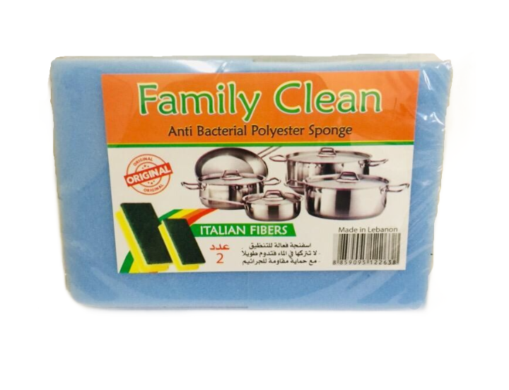 Family Clean Sponge 2's