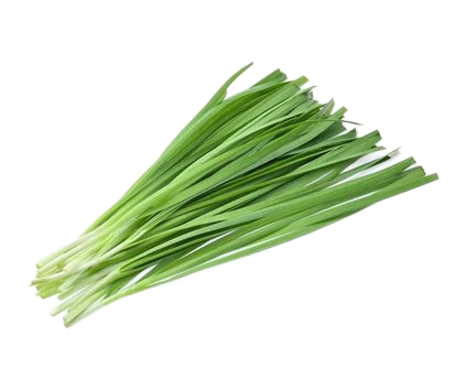 Chives Bunch 1 Pc