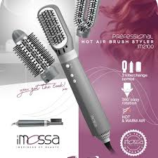 iMossa Professional Hot Air Brush Styler IM2100 800/900 W