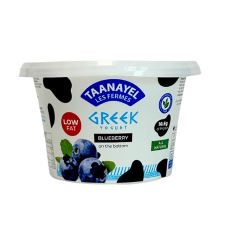 Taanayel Greek Yogurt & Blueberry Low Fat 150 g