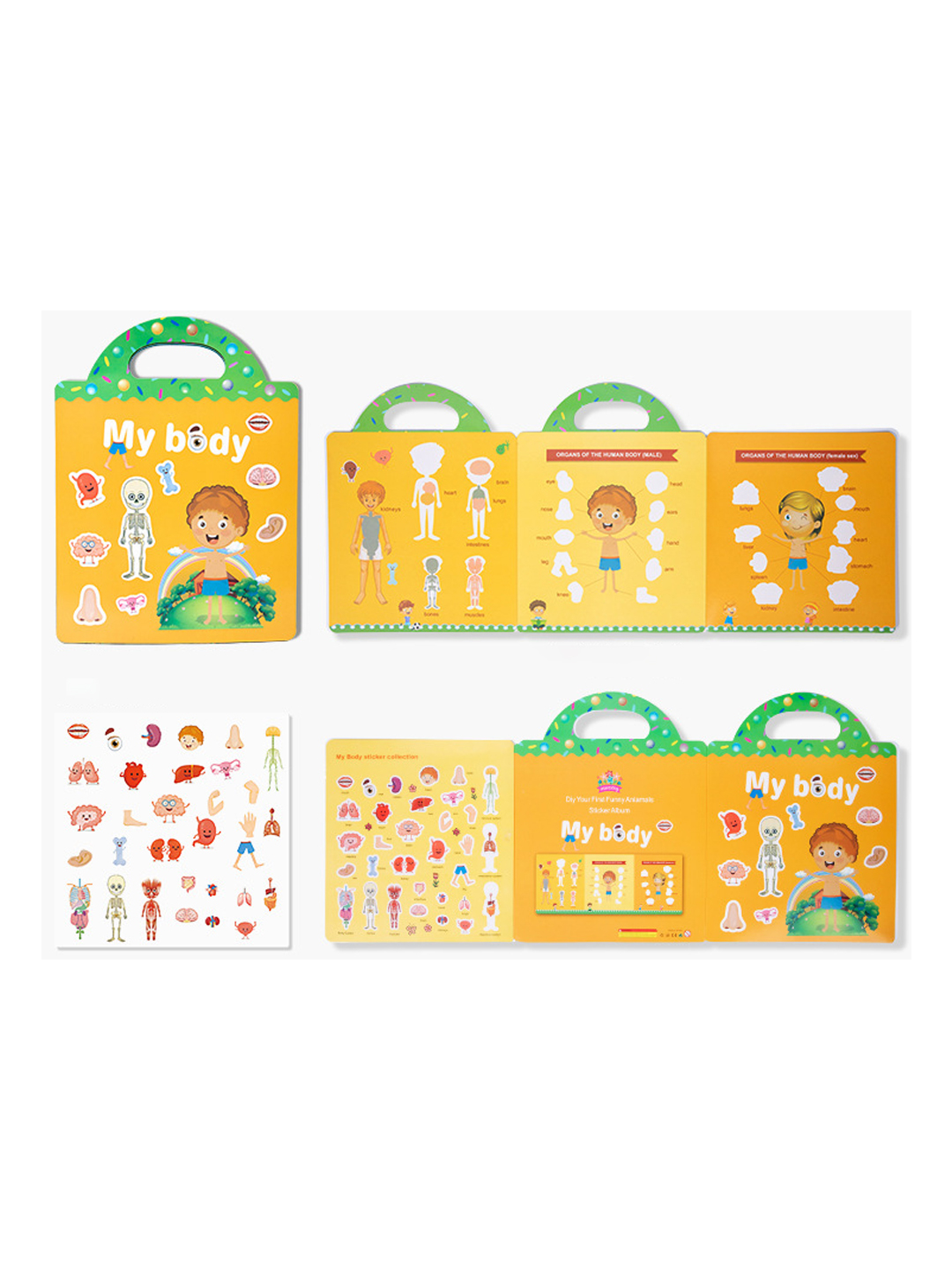 Human Body Bubble Stickers Learning Book