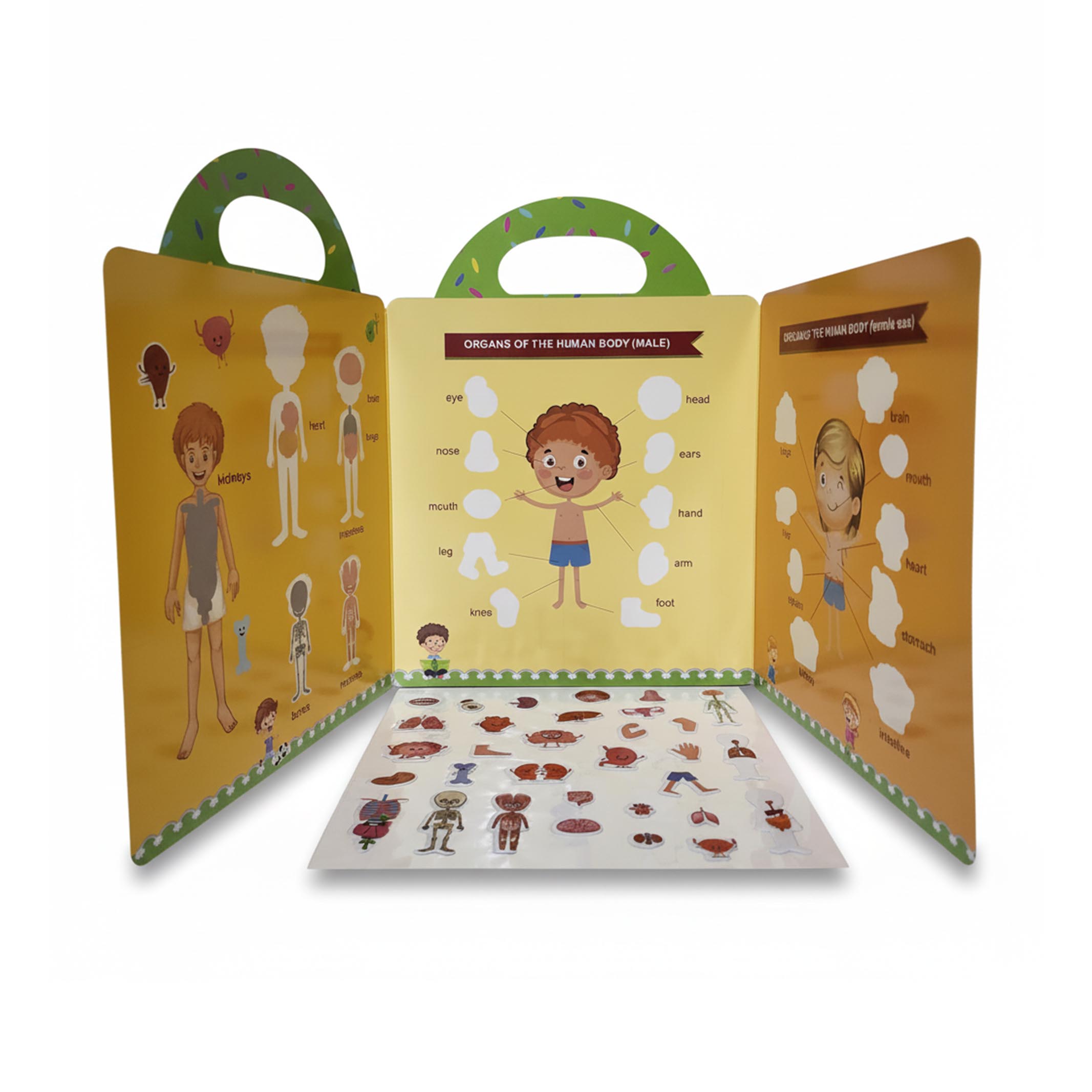 Human Body Bubble Stickers Learning Book