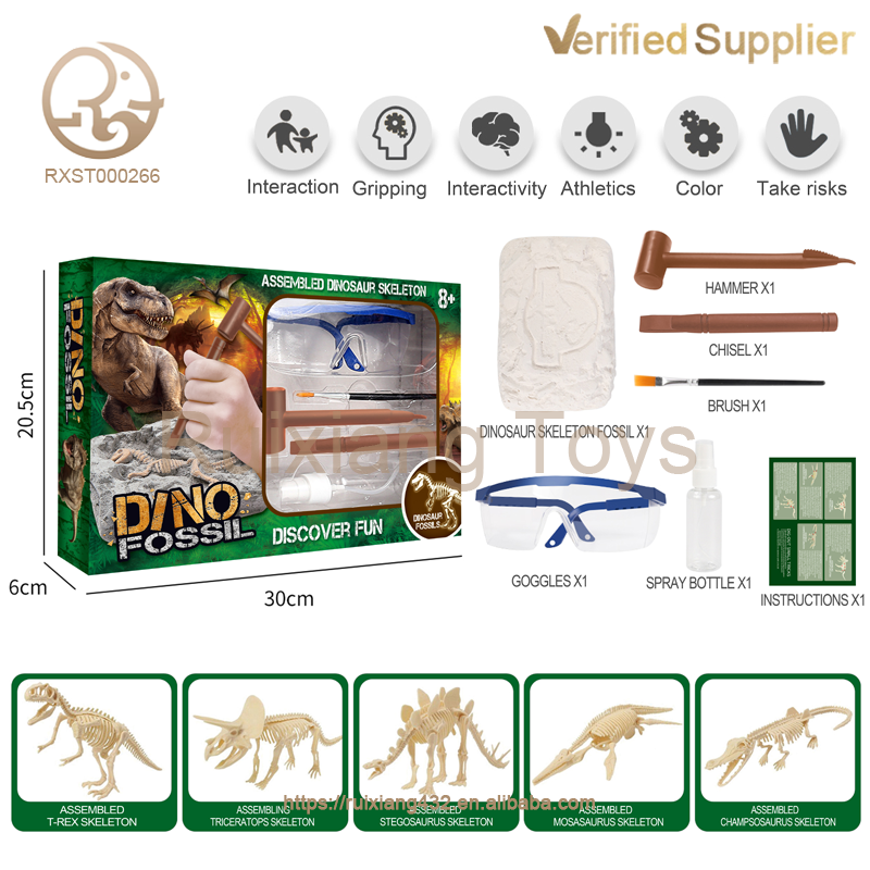 Dinosaur Fossil Skeleton Excavation Kit