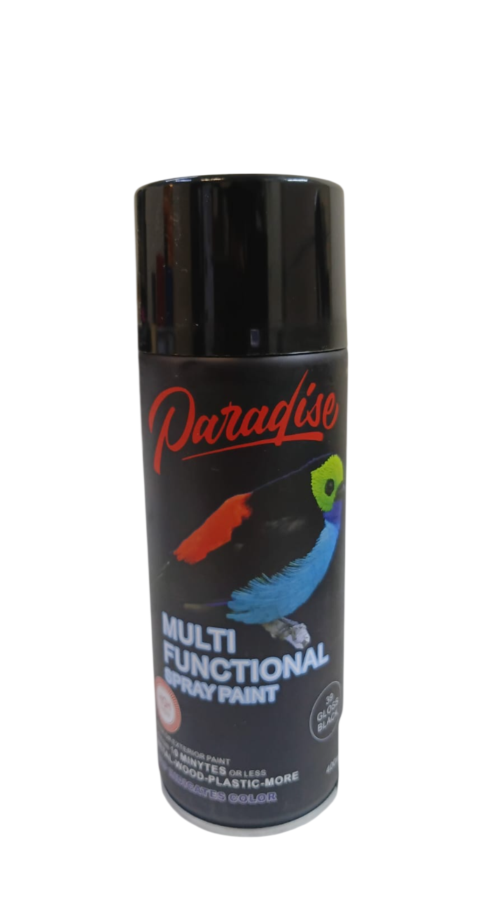Spray Paint Black 400 ml